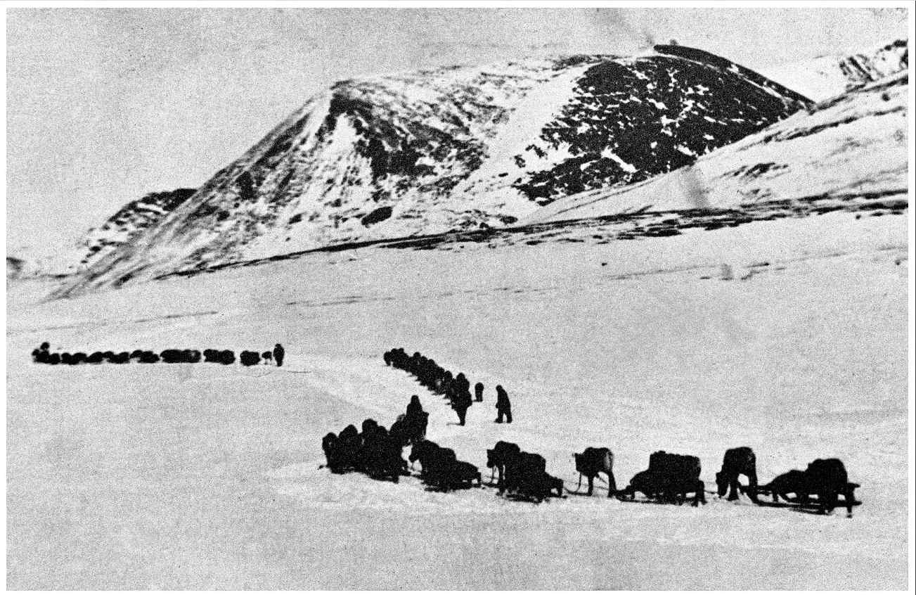 karavan_s_pripasami_1942_43 Золото для победы: горнодобывающая промышленность Дальстроя в годы войны - Вклад Колымы в Победу | Вклад Колымы в Победу
